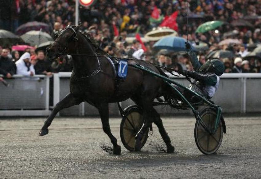 kaum zu glauben ,aber er hat wirklich gewonnen!